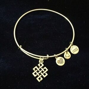 Ladies’ Alex and Ani Gold-tone Endless Knot Charm Bracelet